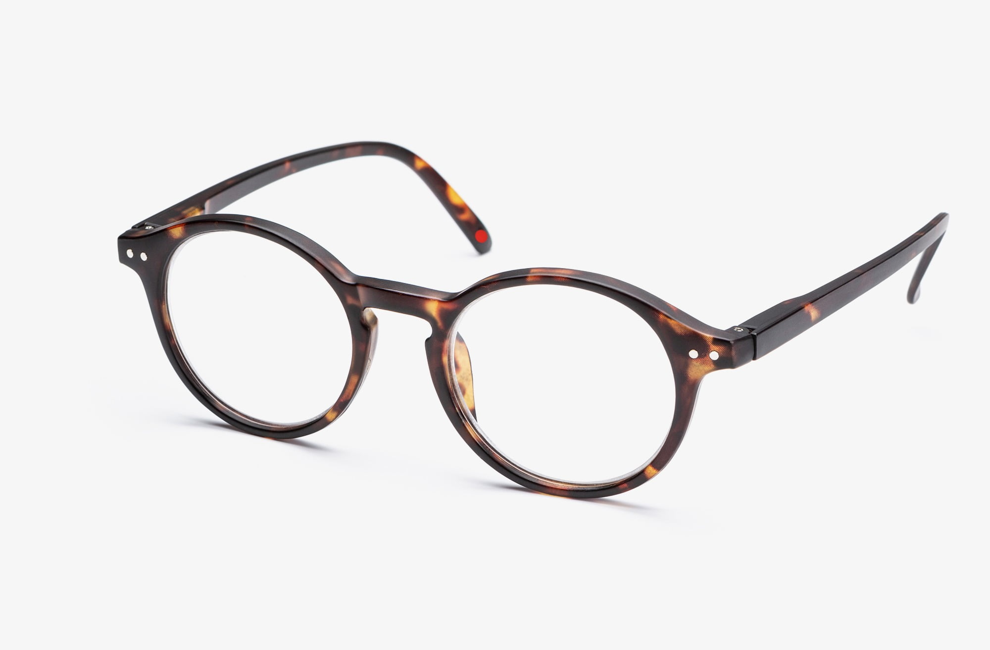 Bplusd Loop Tortoise Front B+D Loop Tortoise Side